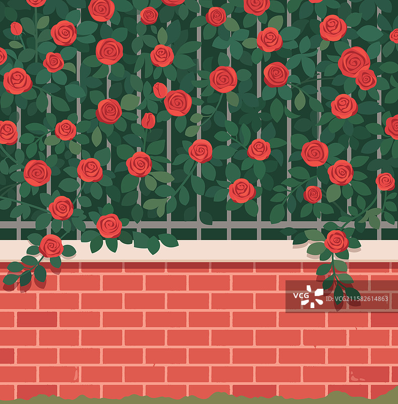 玫瑰花红砖墙背景矢量插画图片素材