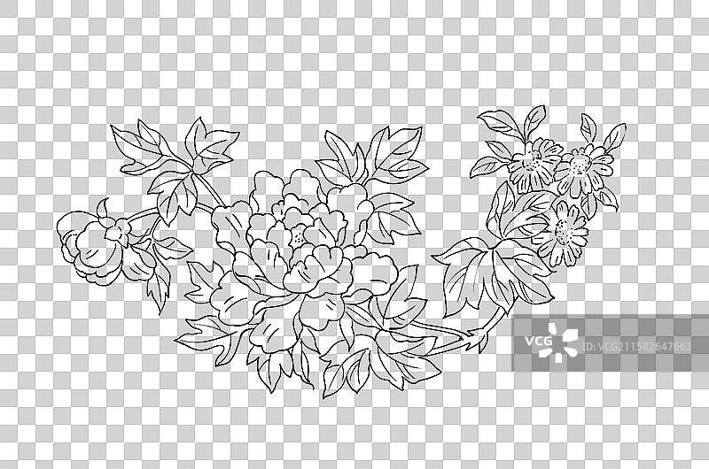 中国传统纹样缠枝牡丹花线稿元素图片素材