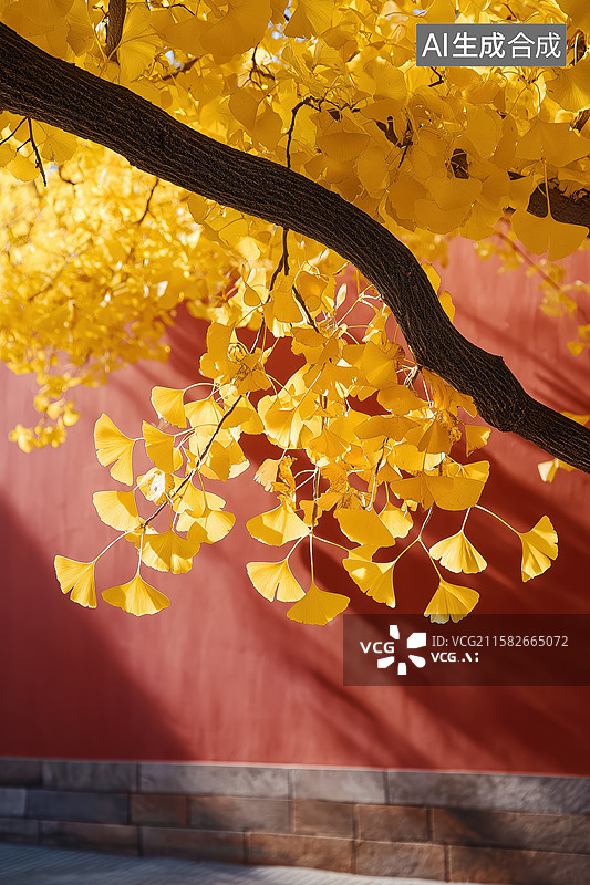 【AI数字艺术】红墙和银杏叶图片素材