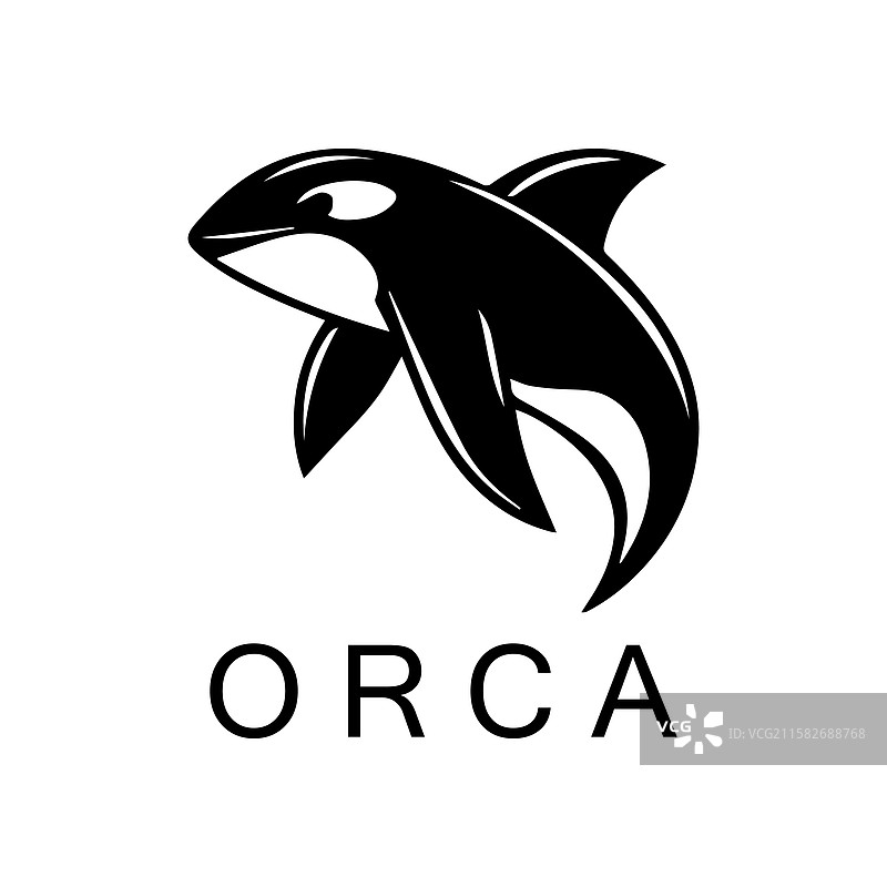 简单的黑色虎鲸动物模板标志图片素材