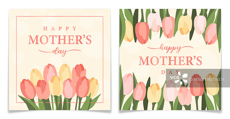 优雅郁金香的母亲节贺卡套装图片素材