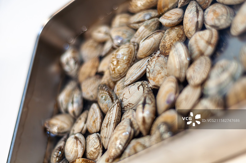 容器中浸入盐水的贝壳花蛤图片素材