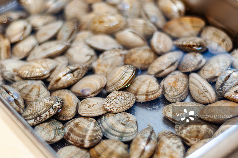 容器中浸入盐水的贝壳花蛤图片素材