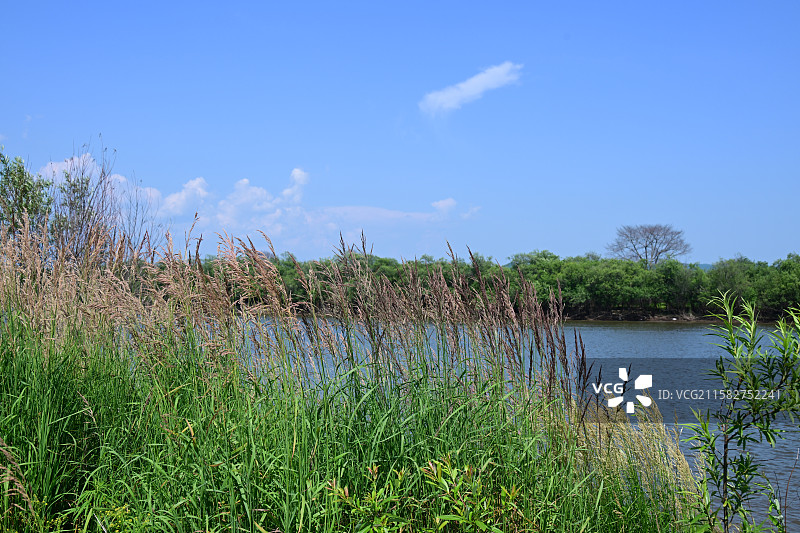 珍宝岛图片素材