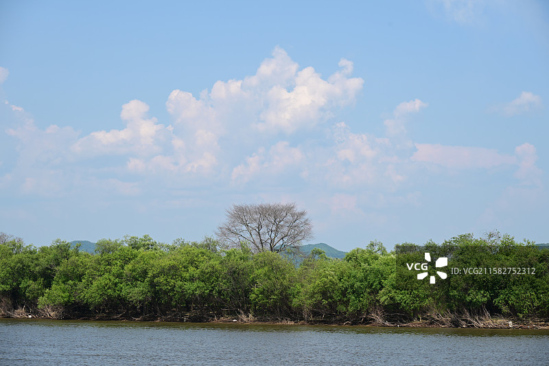 珍宝岛图片素材