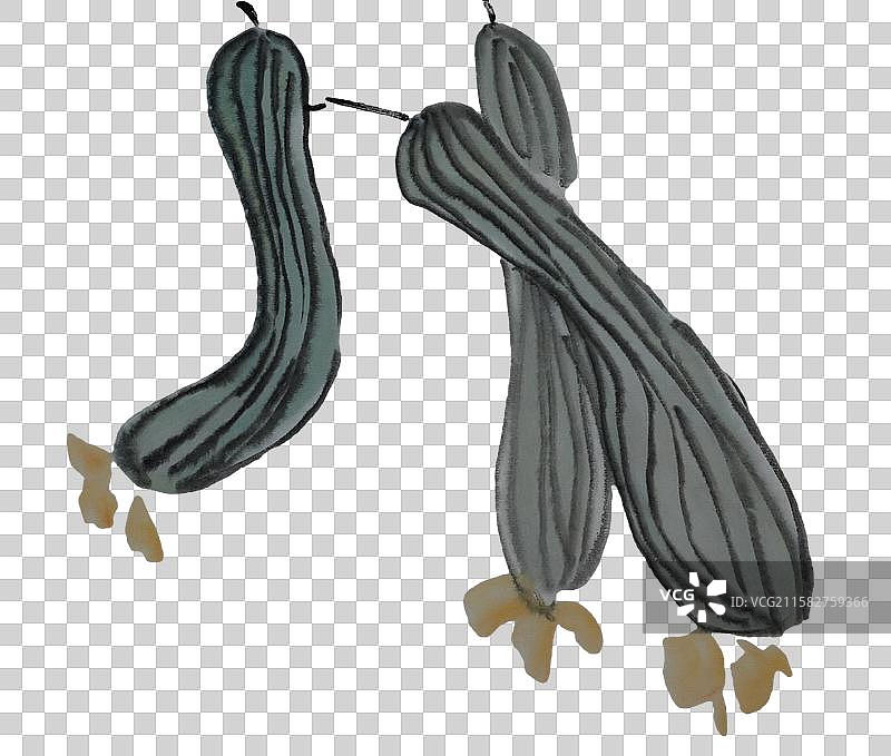 丝瓜 蔬菜 青菜图片素材