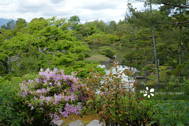 桂离宫---日式山水、园林造景的典范图片素材