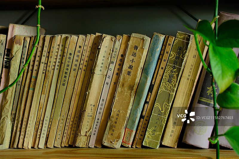 书架书籍。老书老物件旧书四大名著鲁迅著作。设计素材元素图片素材