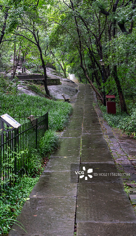 雨中的杭州孤山中山公园图片素材