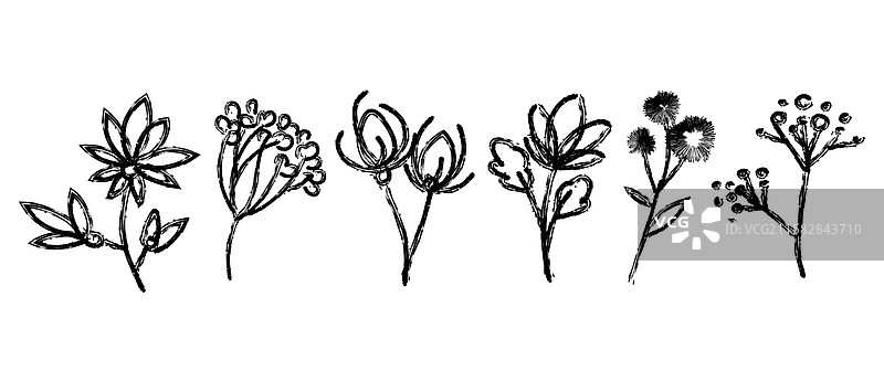 抽象手绘植物元素墨水图片素材