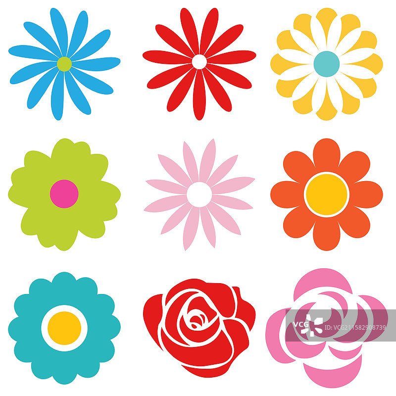 五彩缤纷的花卉集合图片素材