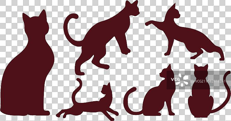 顽皮放松的猫轮廓套装图片素材