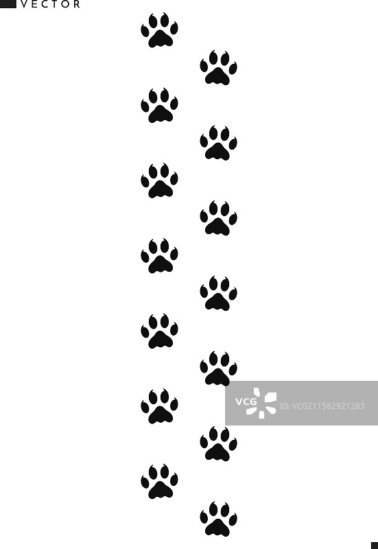 老虎足迹图片素材