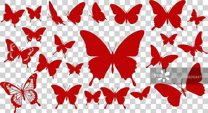 蝴蝶剪影系列 - 优雅图片素材