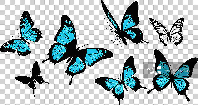 装饰性蝴蝶剪影包 - 自然图标图片素材