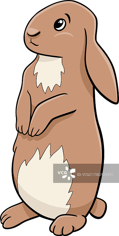 卡通迷你兔子动物角色图片素材