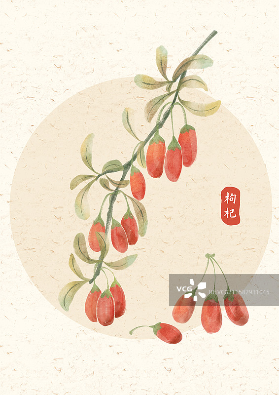 枸杞中药材养生图片素材