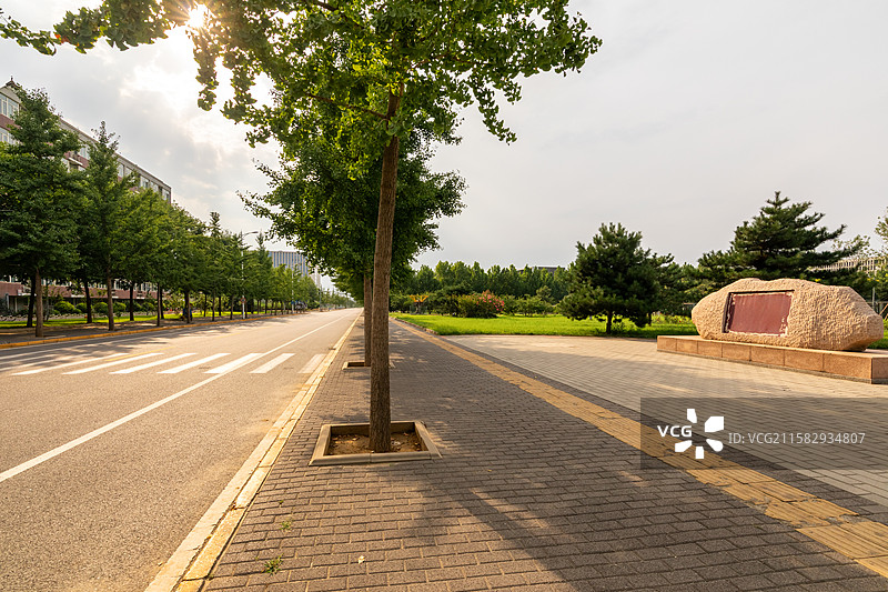 北京北航校园里的风景，校园里的秋天，开学季，大学，学生宿舍图片素材