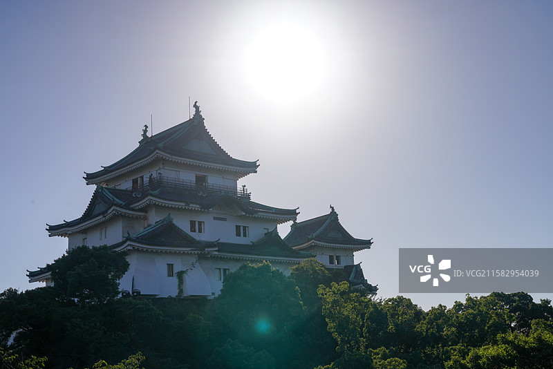 日本 关西地区 和歌山市 和歌山城图片素材