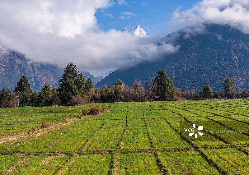 西藏林芝市米林县雅鲁藏布江大峡谷的加拉白垒图片素材