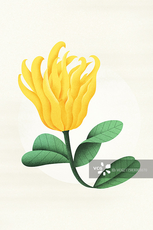 扁平噪点风格佛手柑植物插画图片素材