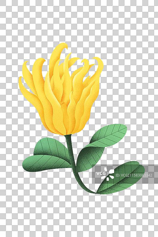 扁平噪点风格佛手柑元素插画图片素材