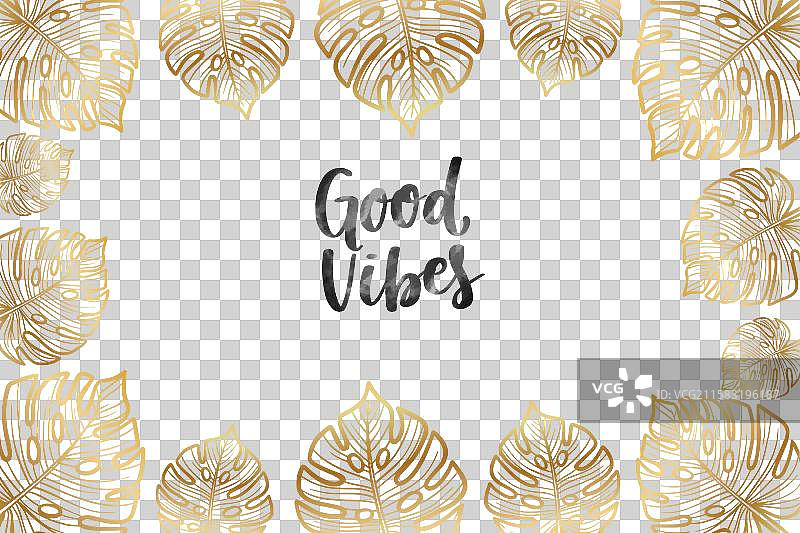 金色的龟背竹叶背景图片素材