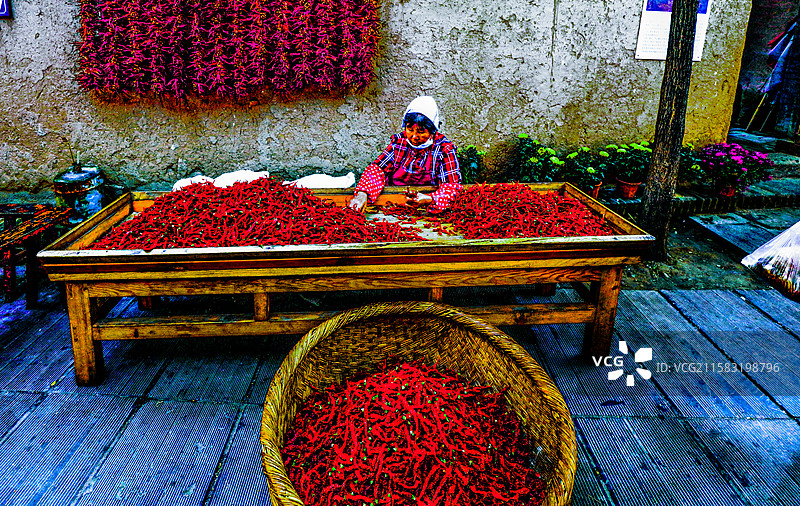 农家红尖椒图片素材
