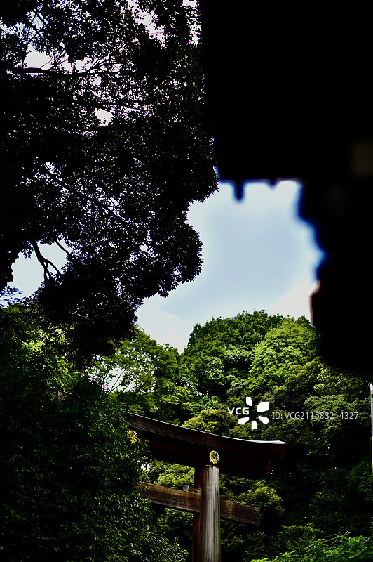 明治神宫的鸟居图片素材