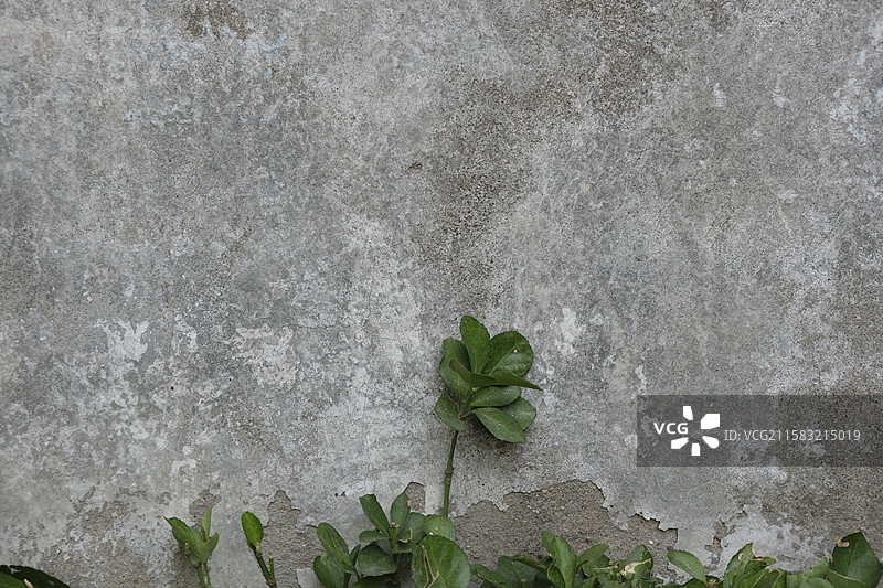 高清PPT背景图，刷大白的洋灰墙面。斑驳沧桑脱落图片素材