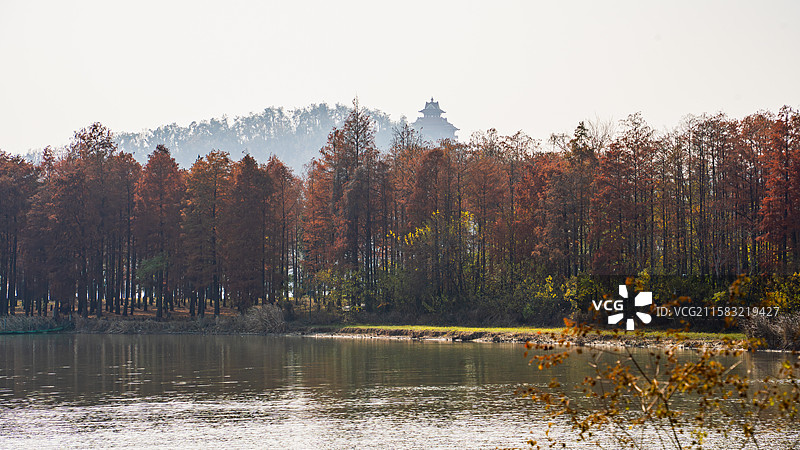 晨雾笼罩中的武汉东湖楚天台图片素材