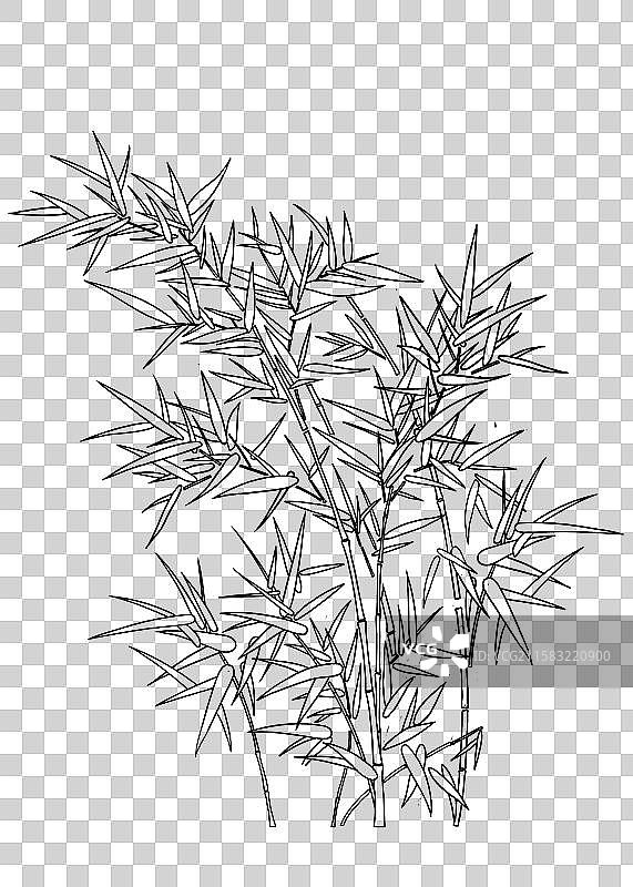 一枝桂花植物叶子插画线稿元素图片素材