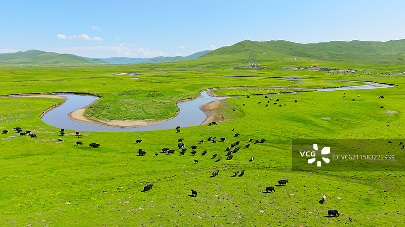 夏季九曲黄河大草原牧场云海日出唯美自然风景图片素材