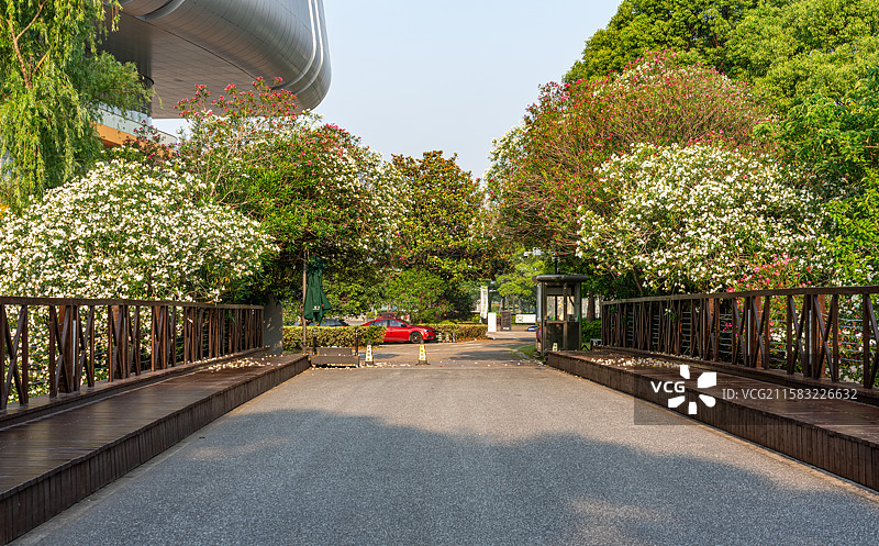 上海汽车博览公园夹竹桃花背景中的上海汽车博物馆建筑一角与汽车道路背景图图片素材