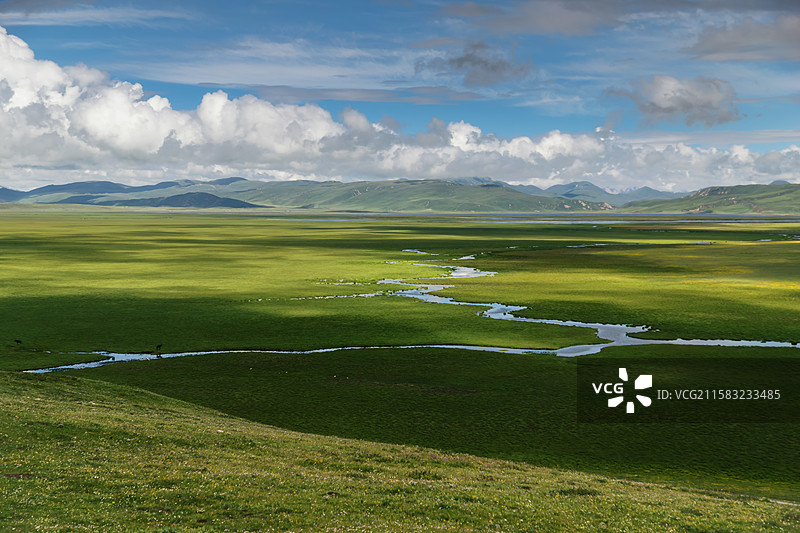 甘南尕海湖湿地图片素材