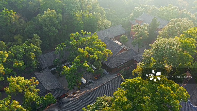 四川乐山大佛三江交汇河流城市古建筑航拍图片素材