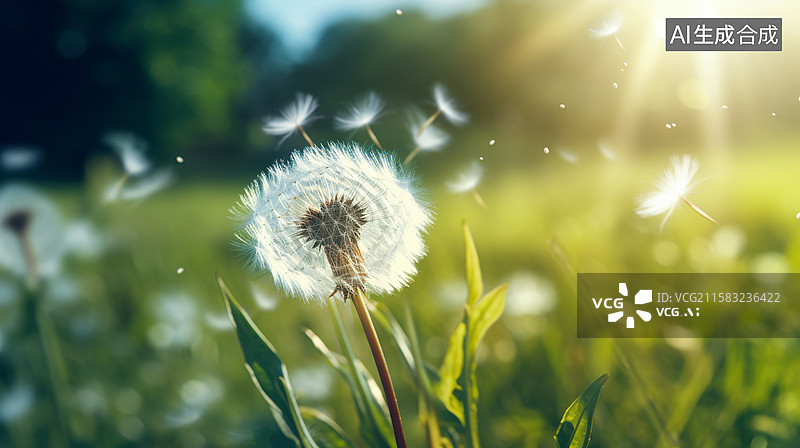 【AI数字艺术】唯美自然清新绿意蒲公英图片素材