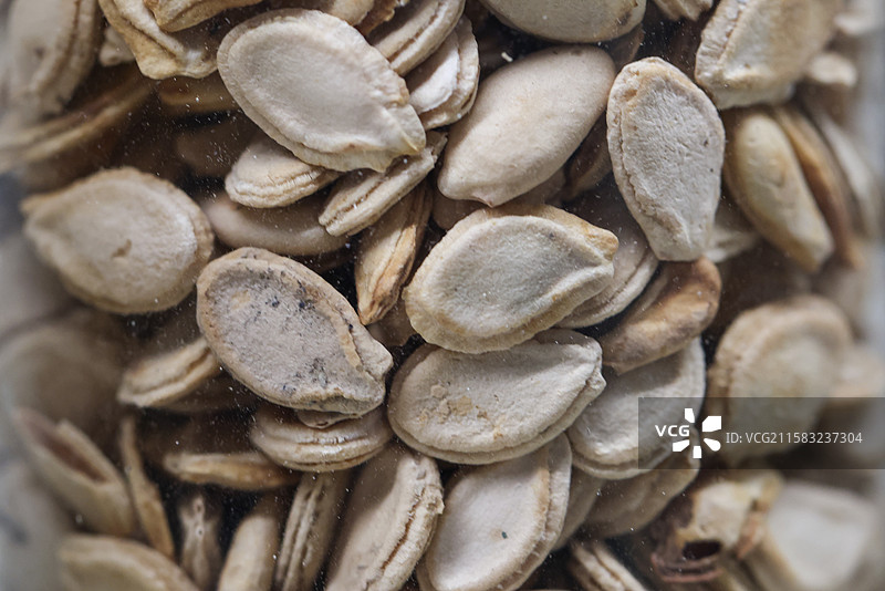 瓜蒌子1000种中药北京中医药大学博物馆中国传统中草药中药加工中药材图片素材