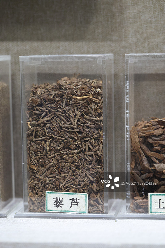 藜芦1000种中药北京中医药大学博物馆中国传统中草药中药加工中药材图片素材