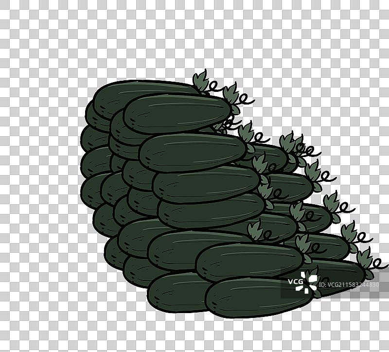 一堆冬瓜图片素材