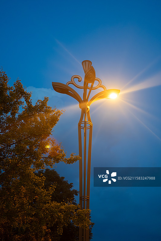 夜幕降临时的路灯光辉图片素材