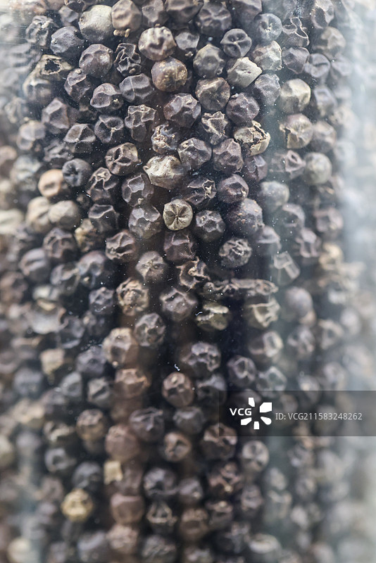 胡椒1000种中药北京中医药大学博物馆中国传统中草药中药加工中药材图片素材