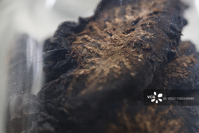 肉苁蓉1000种中药北京中医药大学博物馆中国传统中草药中药加工中药材图片素材
