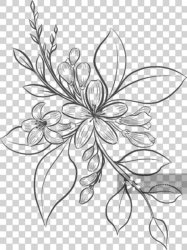 九里香花束黑色线稿图片素材