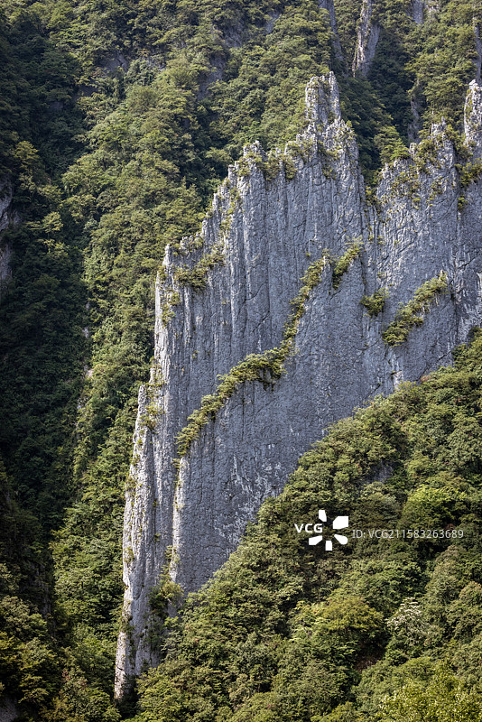 湖北省神农架林区剥刀岩薄如刀锋的36把刀山丛图片素材