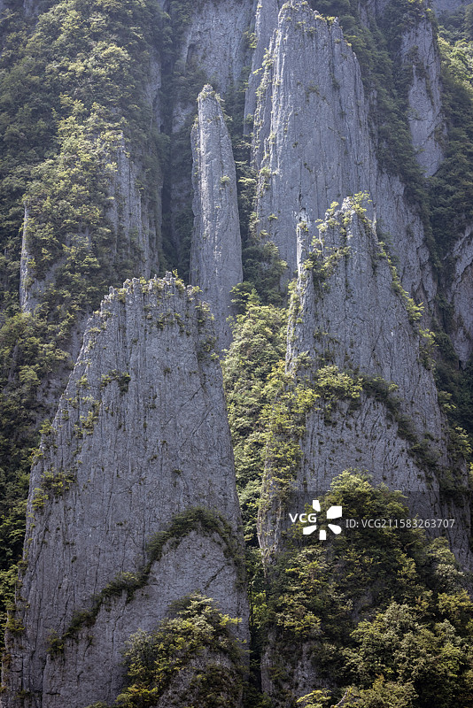 湖北省神农架林区剥刀岩薄如刀锋的36把刀山丛图片素材
