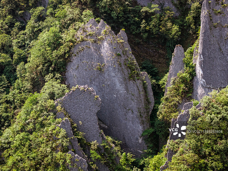 湖北省神农架林区剥刀岩薄如刀锋的36把刀山丛图片素材