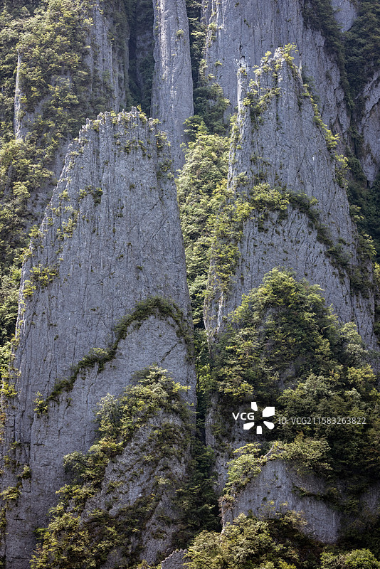 湖北省神农架林区剥刀岩薄如刀锋的36把刀山丛图片素材