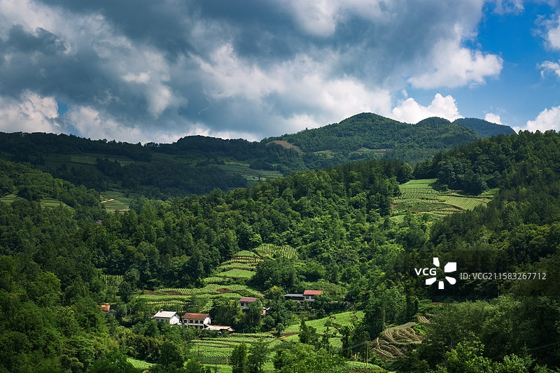 夏季苍翠欲滴的秦巴山区乡村风光图片素材
