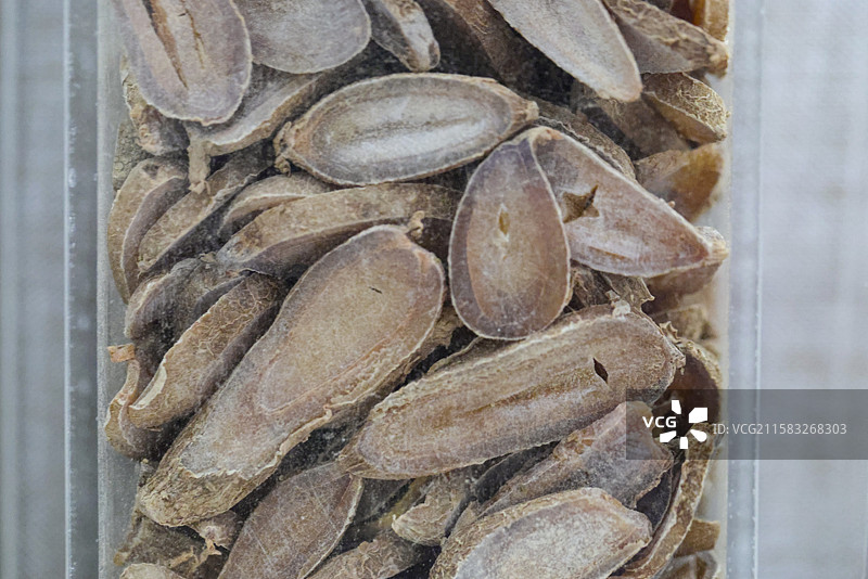 郁金片和伞形郁金片1000种中药北京中医药大学博物馆中国传统中草药中药加工中药材图片素材